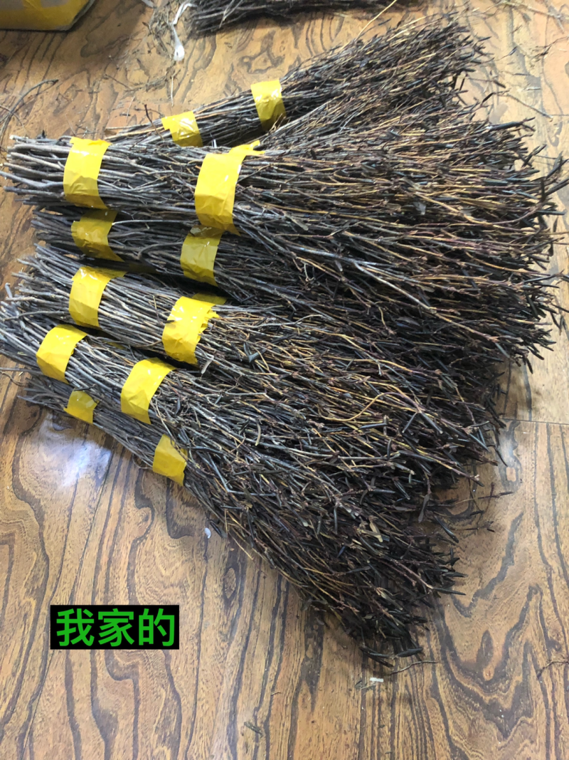 兴安杜鹃干枝杜鹃花枝遇水7-15天开花