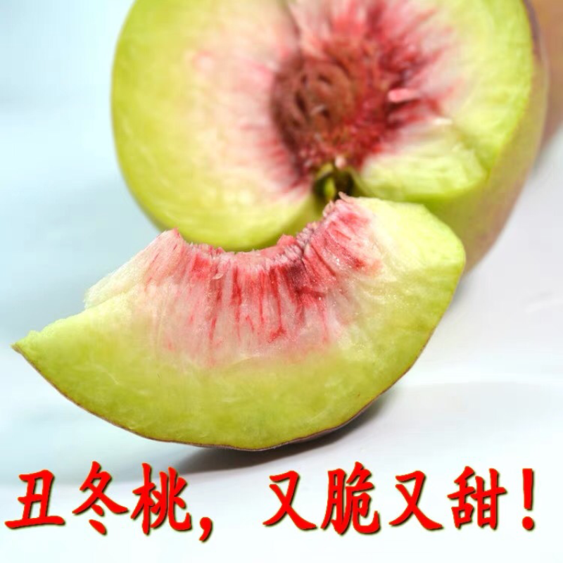 大理冬桃毛桃新鲜冬桃应季水果脆甜桃子小毛桃