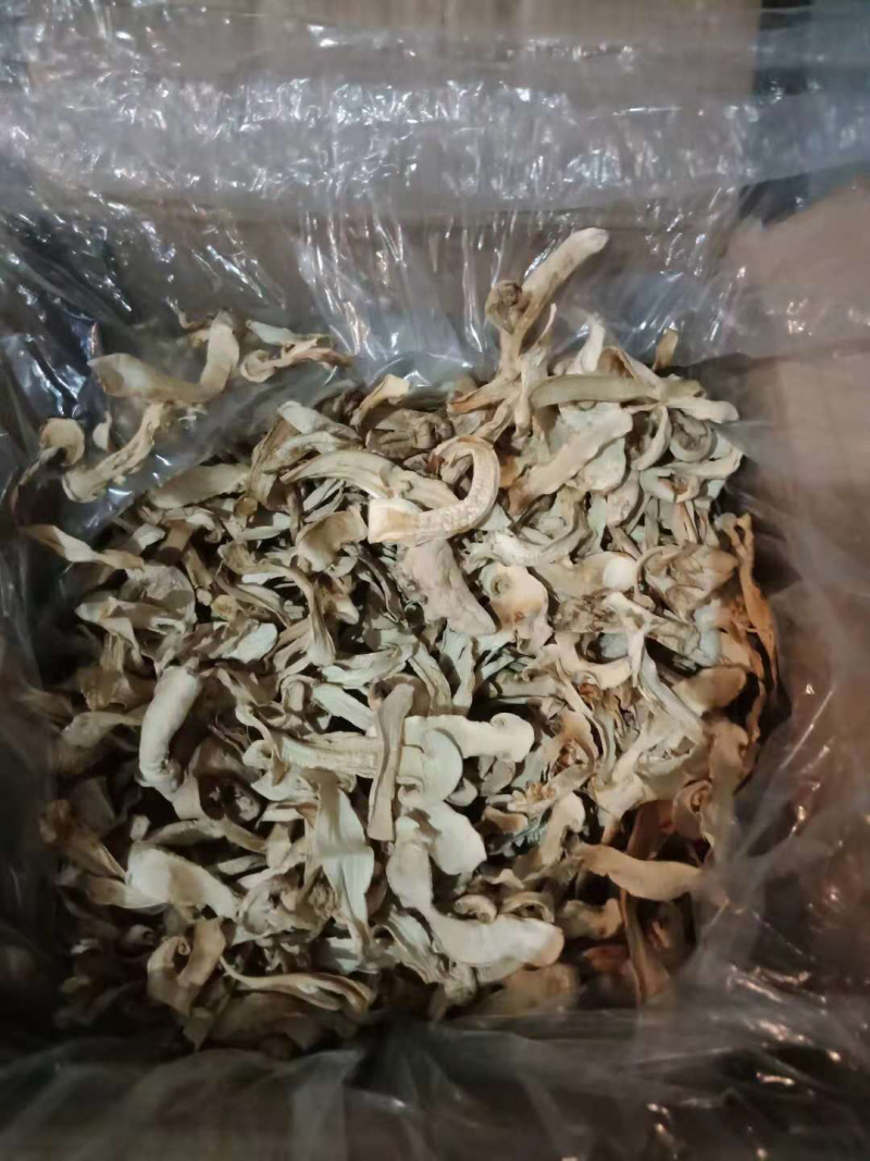 长白山松茸干片批发