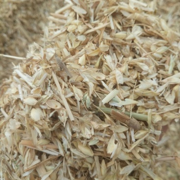 麦麸大量麦糠