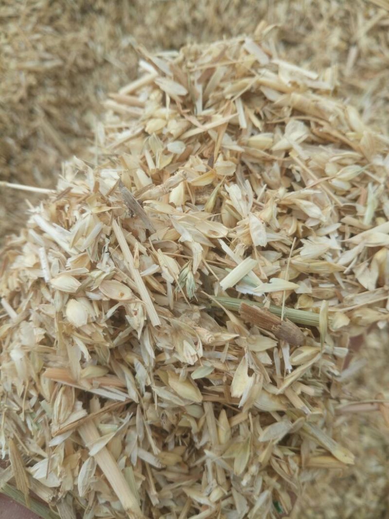 麦麸麦糠给钱就卖