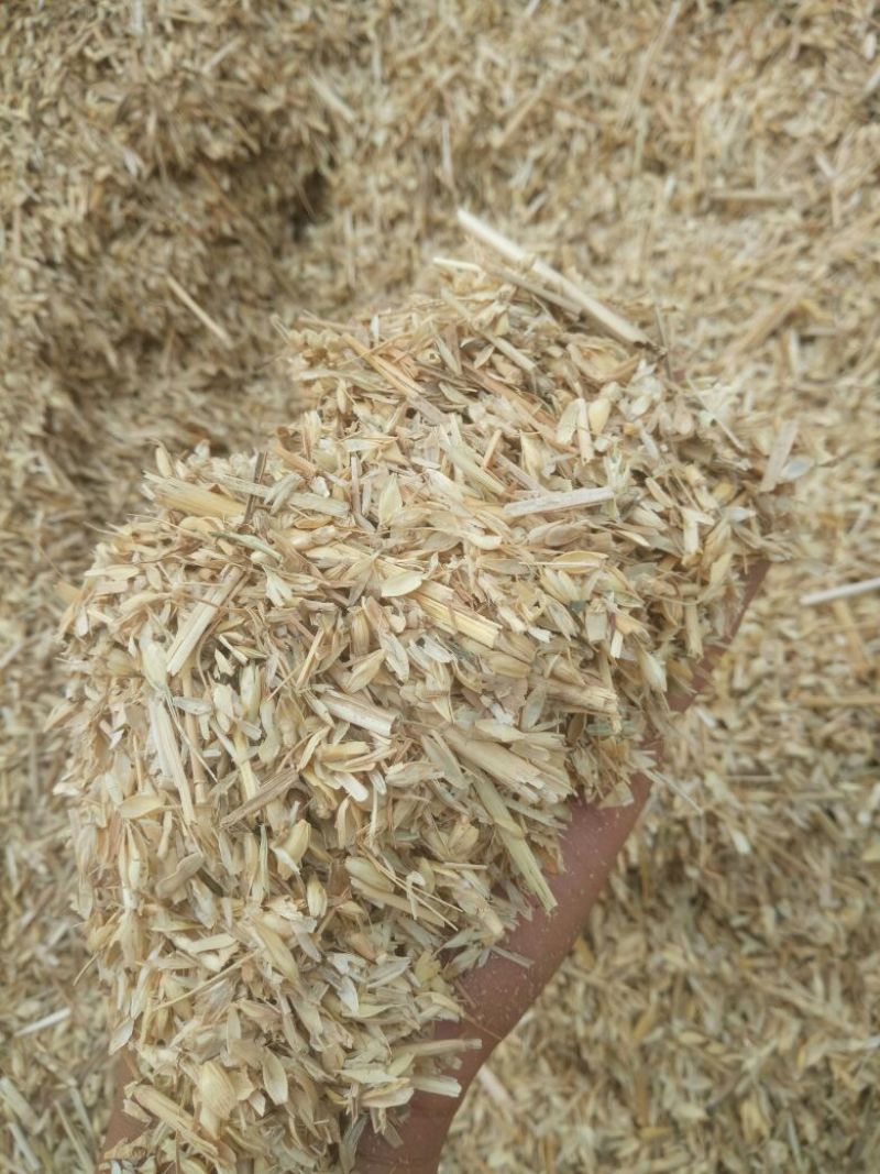 麦麸麦糠给钱就卖