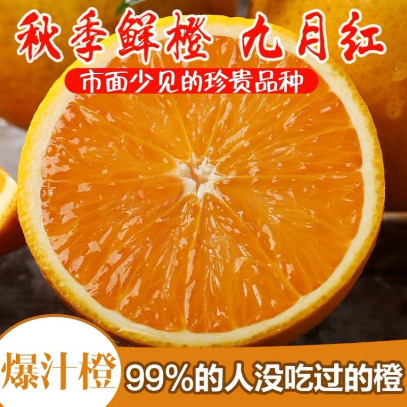 秭归脐橙九月红已上市，需要的老板请联系