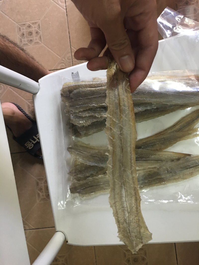 白鳗鱼海鳗鱼干