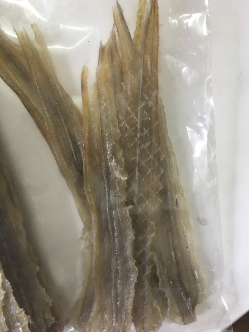 白鳗鱼海鳗鱼干