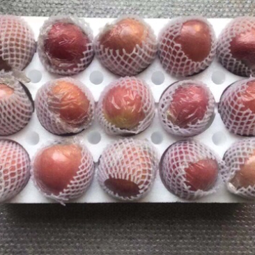 75以上山西苹果