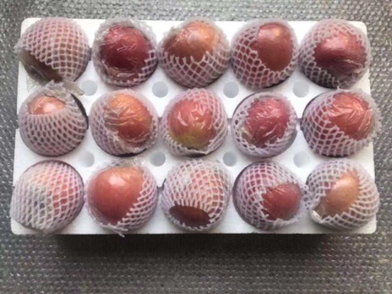 75以上山西苹果