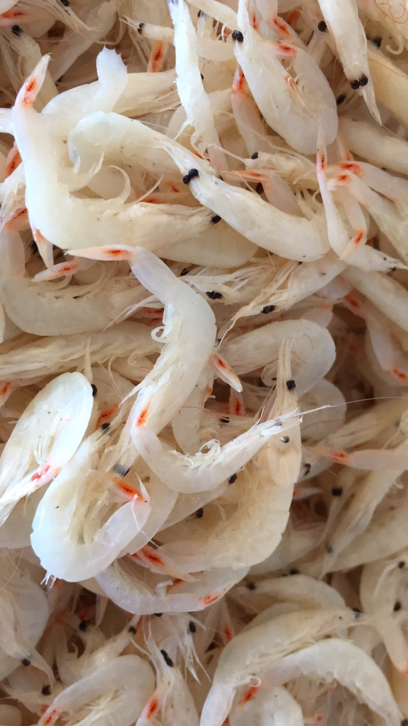鲜虾皮，海兔，海米