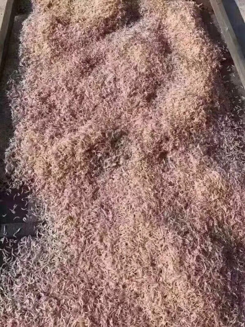 纯天然特级虾皮