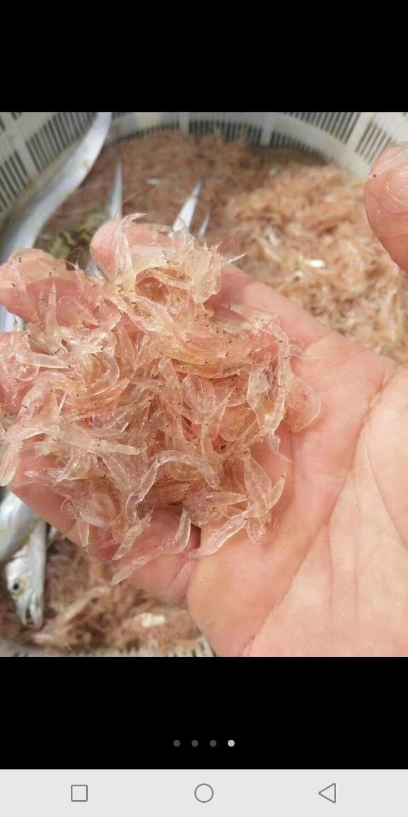 纯天然特级虾皮
