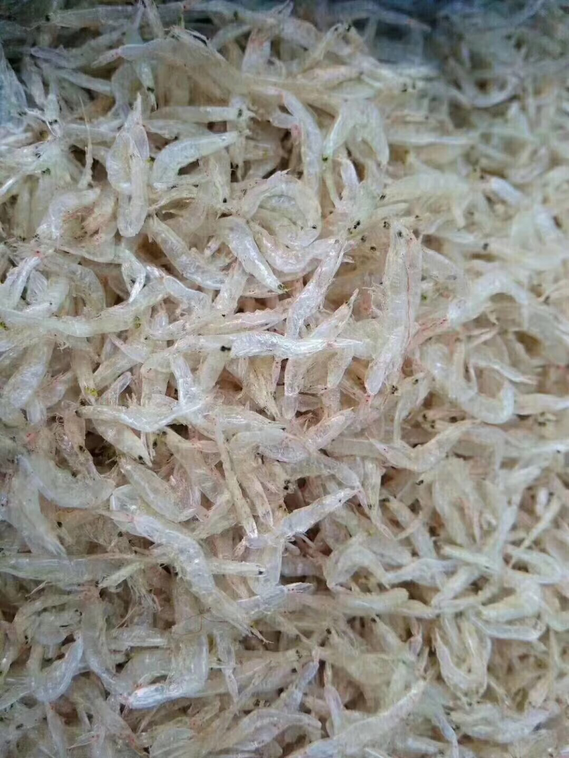 纯天然特级虾皮