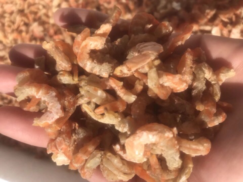 脱皮虾米