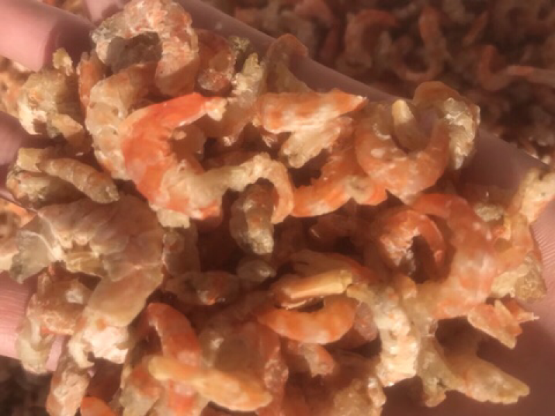 脱皮虾米