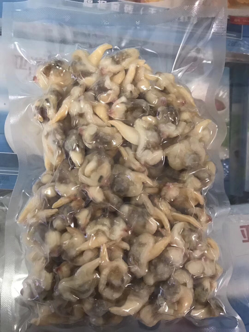 沙蚬子
