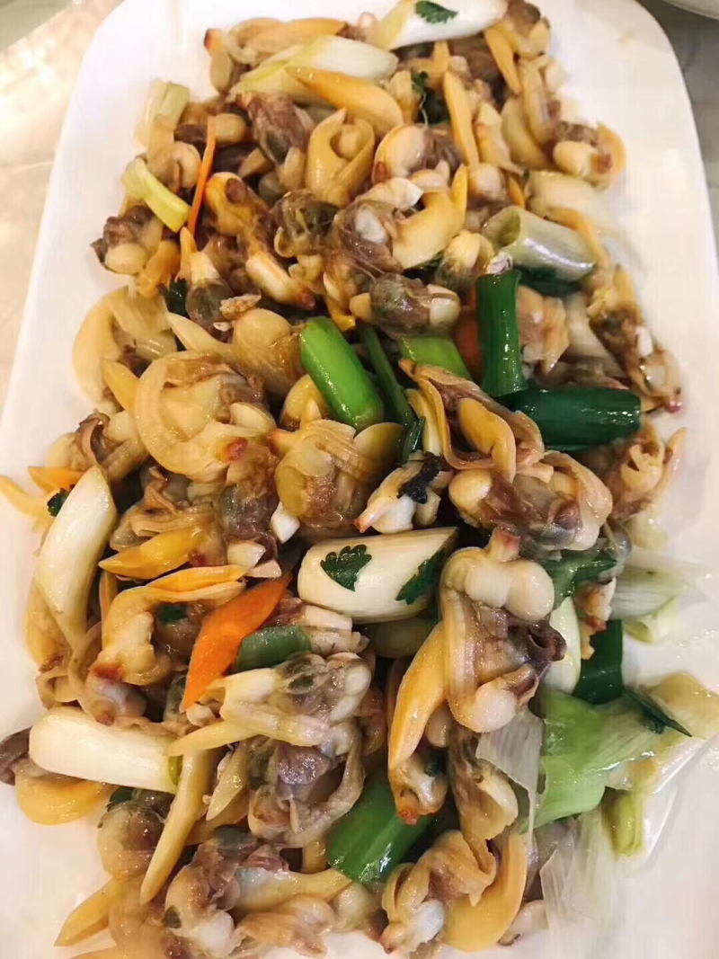 沙蚬子