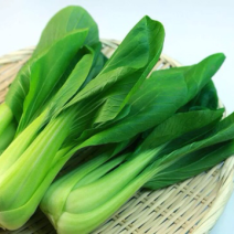 常年供应精品小油菜，物美价廉，诚信经营，欢迎朋友们选购