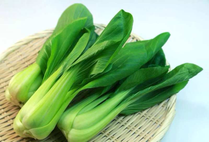 常年供应精品小油菜，物美价廉，诚信经营，欢迎朋友们选购