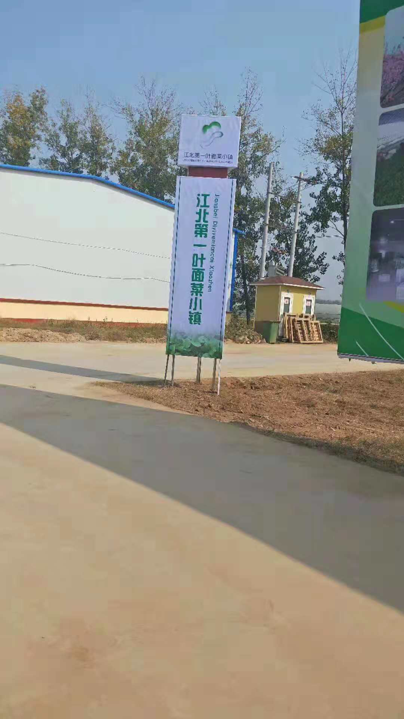 常年供应精品小油菜，物美价廉，诚信经营，欢迎朋友们选购