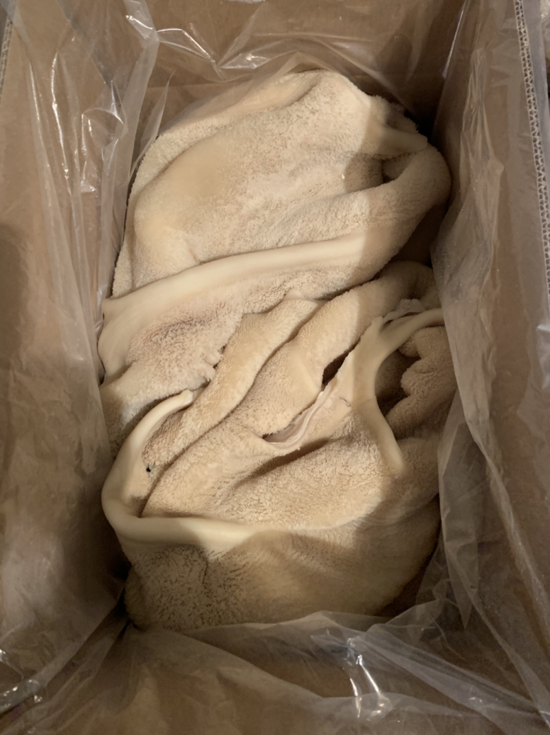 纯熟牛肚厂家一手货源