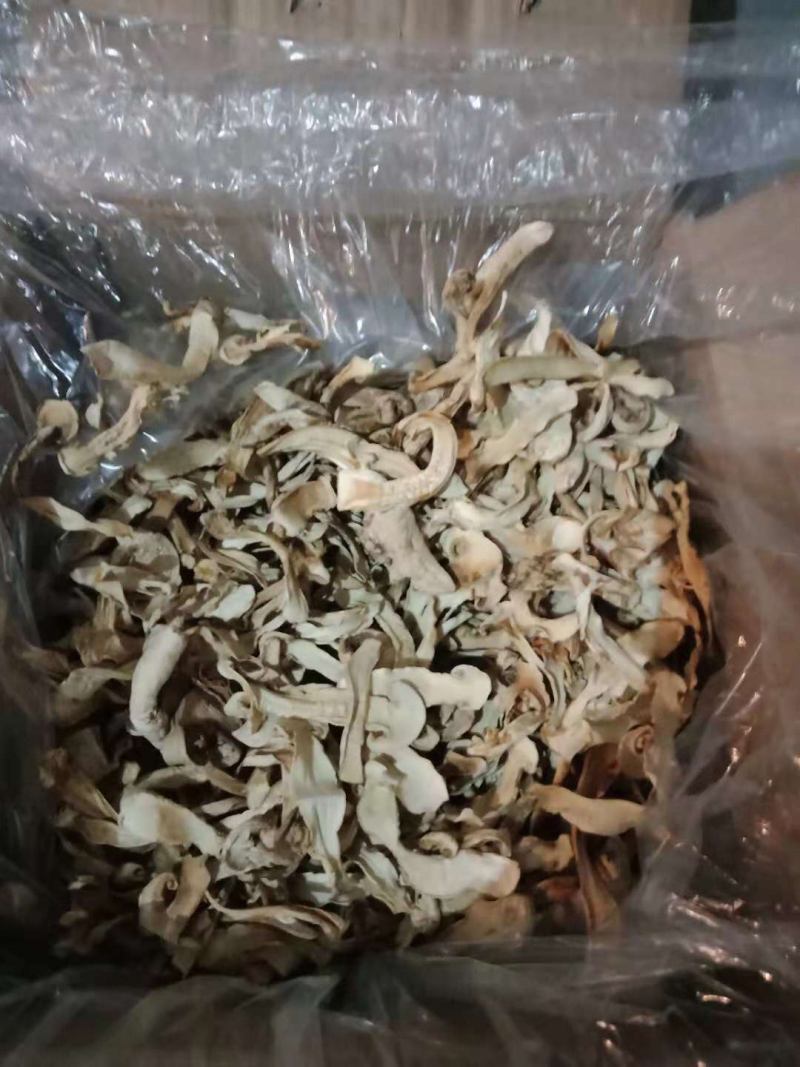 各种等级松茸干片，大量批发