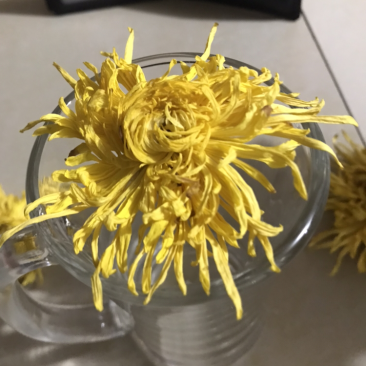 菊花茶