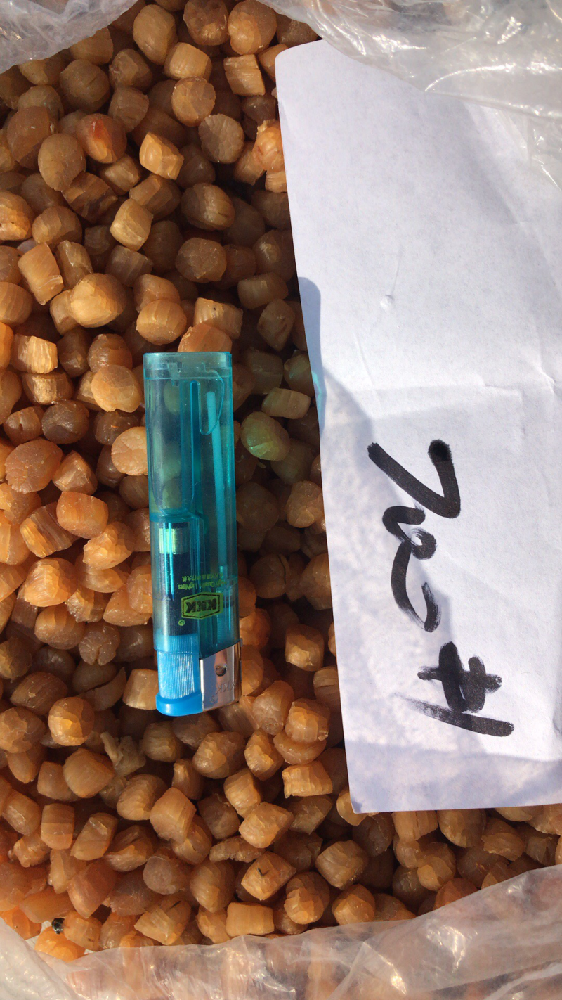 元贝扇贝干瑶柱干