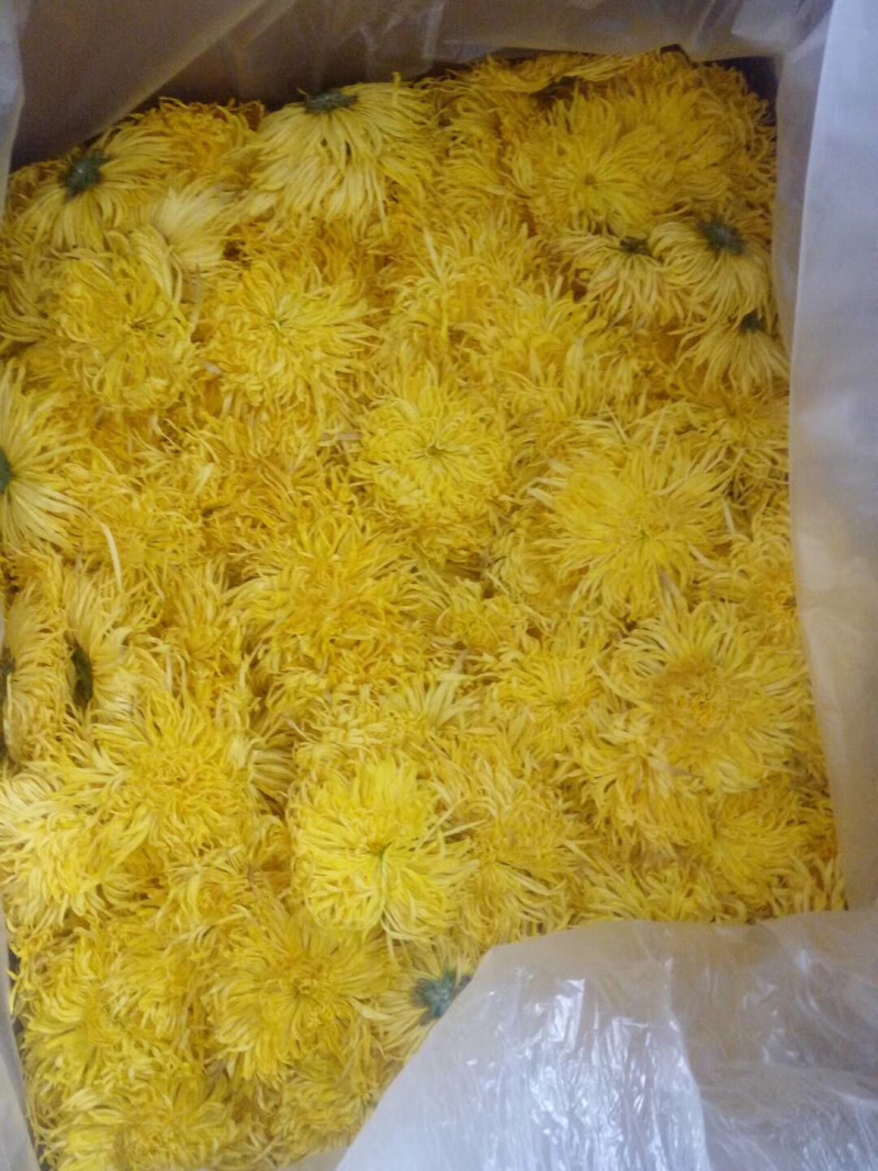 金丝皇菊55一盒