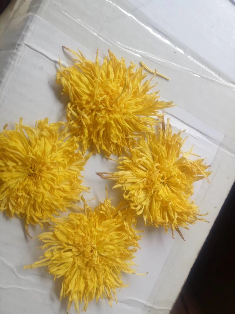金丝皇菊55一盒