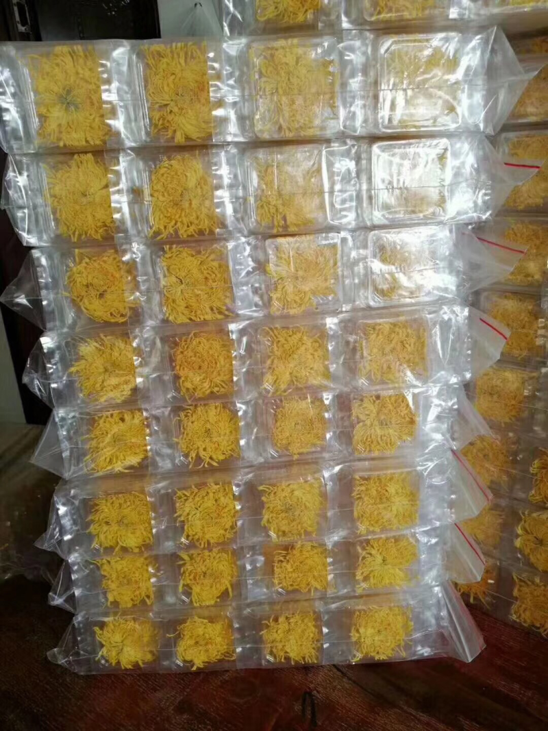 金丝皇菊55一盒