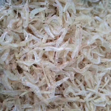 虾皮