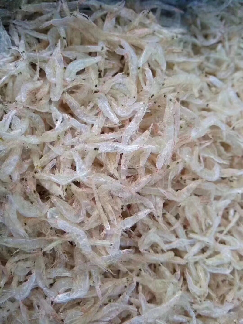 虾皮