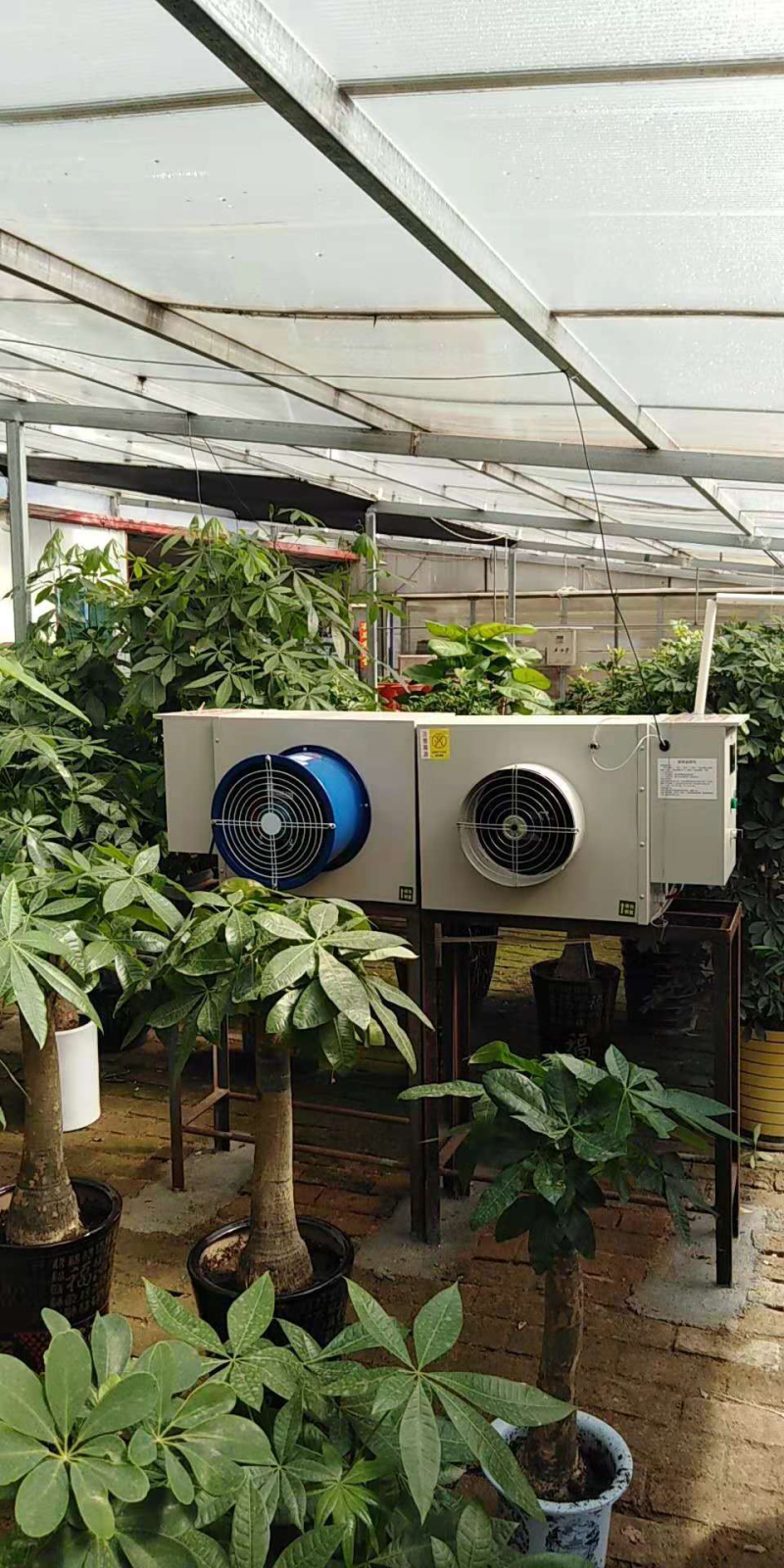 大棚供暖加温设备畜牧养殖育雏取暖热风机