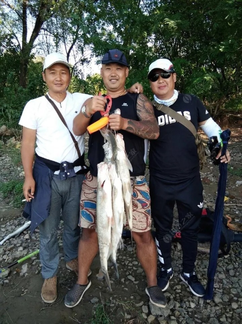 上海崇明岛野生长江翘嘴鱼大小都有