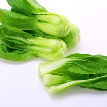 山东本地常年供应精品小油菜/物美价廉/诚信经营/量大价优