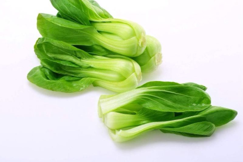 山东本地常年供应精品小油菜/物美价廉/诚信经营/量大价优