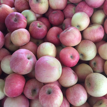 烟台红富士苹果产地供应，一件，4元一斤一件三十五