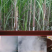 云南古法黑糖泡水喝玫瑰