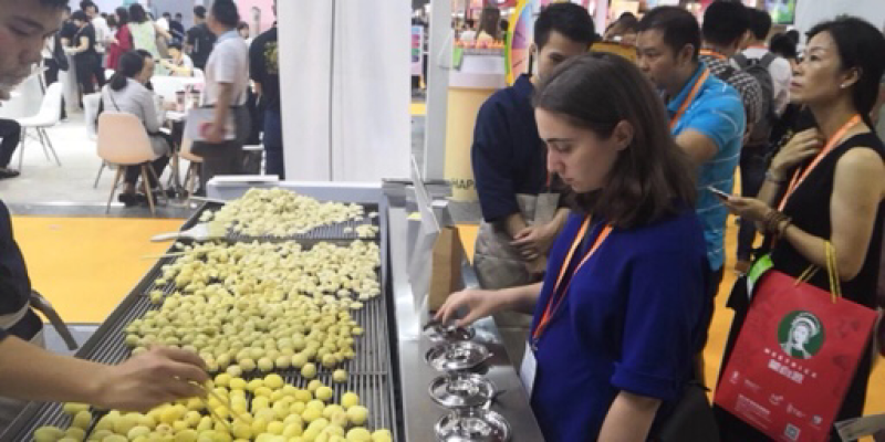 建水豆腐