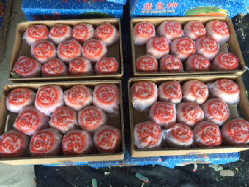 磨盘柿