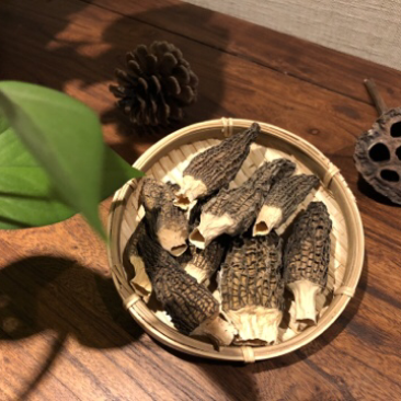 湖北瑞惠菌物科技有限公司
