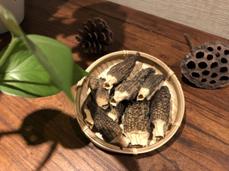 湖北瑞惠菌物科技有限公司