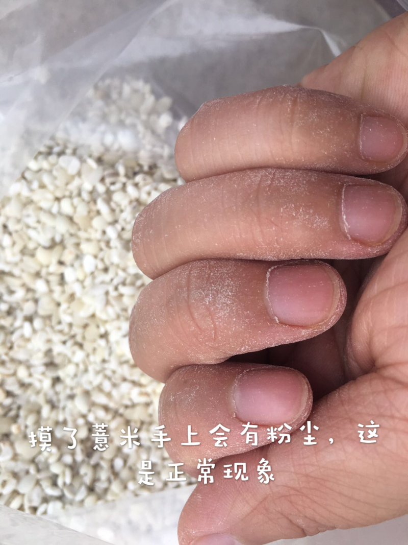 宁化糯薏米零售批发