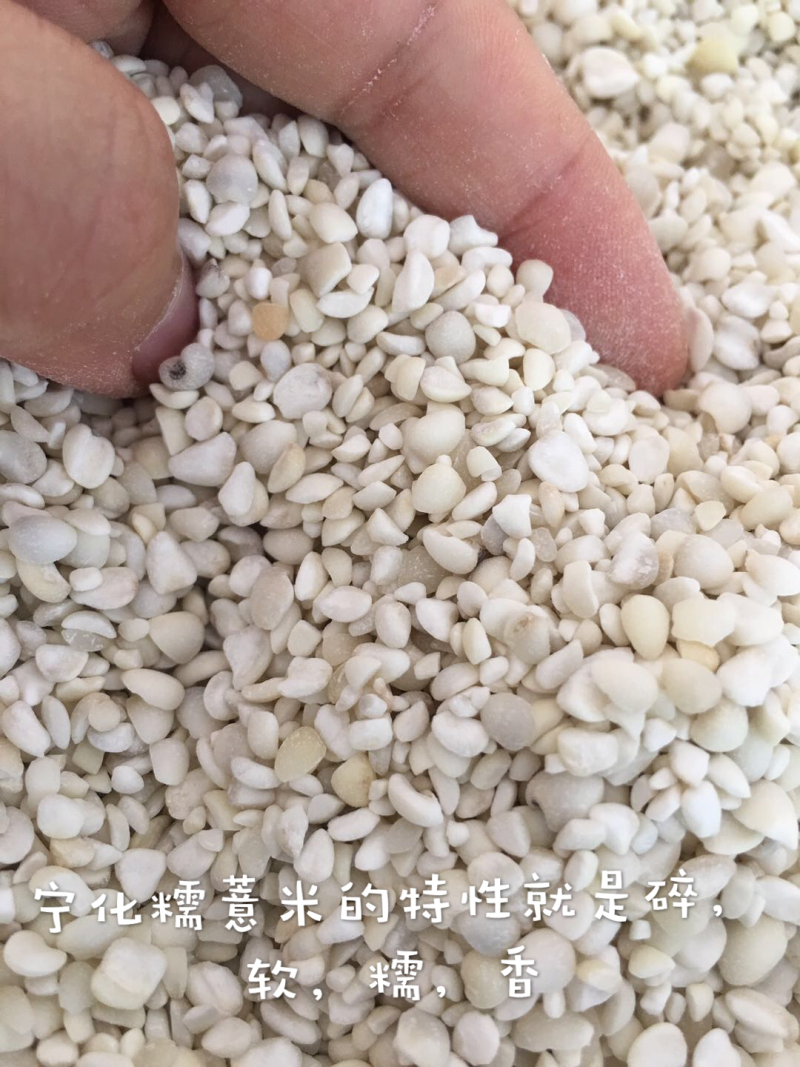 宁化糯薏米零售批发