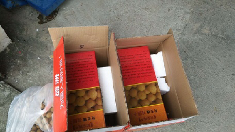 龙眼干特产凤梨惠