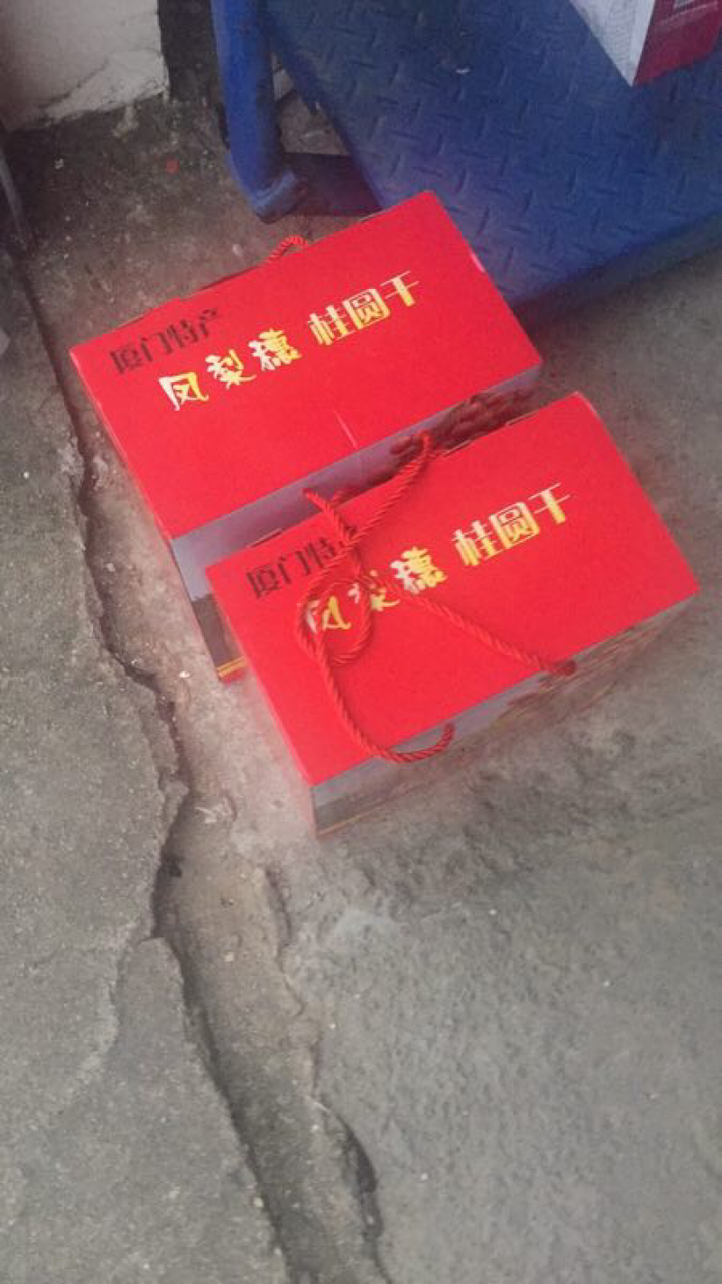 龙眼干特产凤梨惠