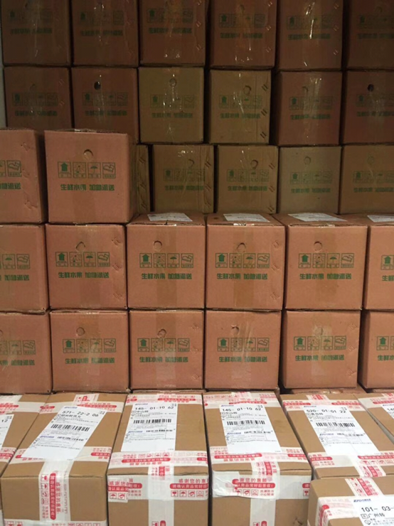 冬桃青州蜜桃山东冬雪蜜桃小毛桃五斤包邮