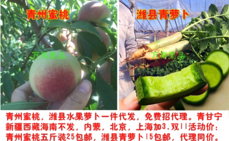 山东潍坊特产潍坊水果萝卜潍县青萝卜五斤包邮