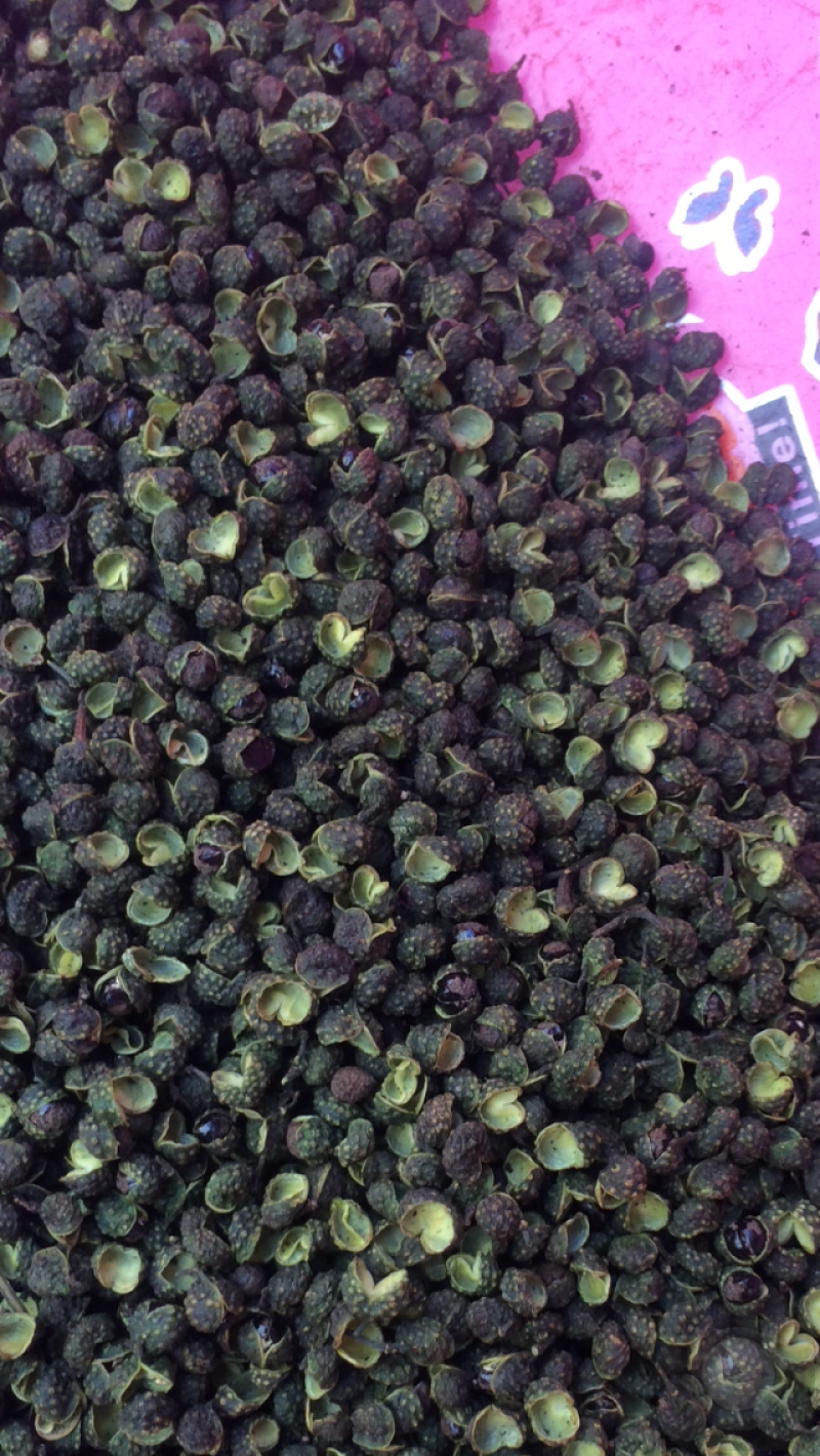 【精品】重庆青麻椒鲜花椒湿花椒色正味麻价格实惠质量保证