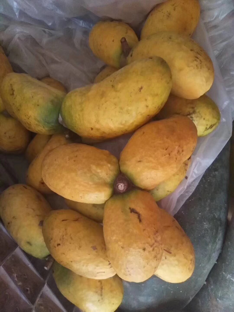 牛卵坨
