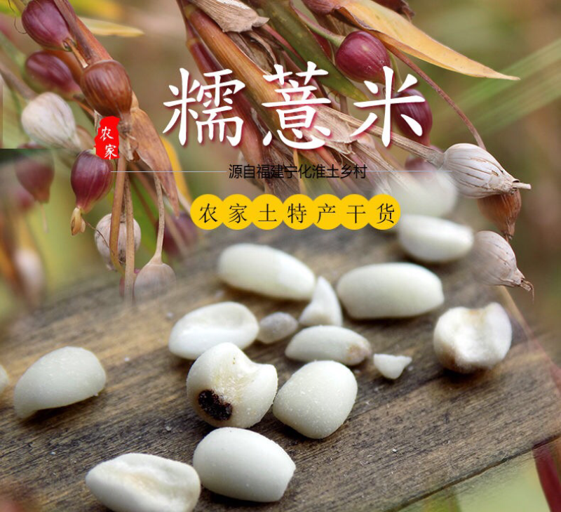 （19年新货)宁化糯薏米